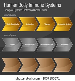 An image of a metallic bronze gold silver Human Body Immune Systems Chart.
