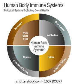 An image of a metallic bronze gold silver Human Body Immune Systems Chart.