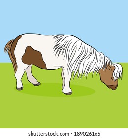 An image of a miniature horse.