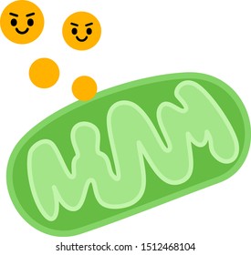 Image Of Mitochondria Making Energy