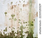 Image of mold on the wall in the form of green and brown spots and mold fungi, in vector.