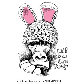 The image of the monkey in the Bunny hat. Vector illustration.