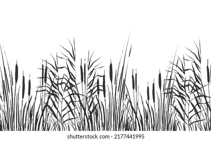 Imagen de un carrizo monocromo o de un bulrush sobre un fondo blanco Dibujo vectorial aislado 