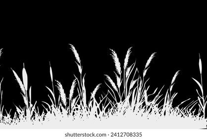 Image of a monochrome reed,grass or bulrush on a white background.Isolated vector drawing.Black grass graphic silhouette.