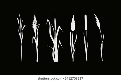 Image of a monochrome reed,grass or bulrush on a white background.Isolated vector drawing.Black grass graphic silhouette.