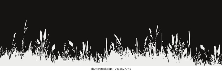 Image of a monochrome reed,grass or bulrush on a white background.Isolated vector drawing.Black grass graphic silhouette.