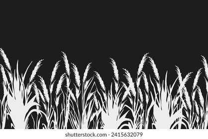 Image of a monochrome reed,grass or bulrush on a white background.Isolated vector drawing.Black grass graphic silhouette.