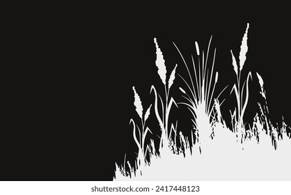 Image of a monochrome reed,grass or bulrush on a white background.Isolated vector drawing.Black grass graphic silhouette.