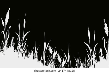 Image of a monochrome reed,grass or bulrush on a white background.Isolated vector drawing.Black grass graphic silhouette.