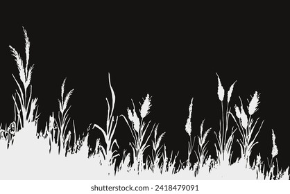 Image of a monochrome reed,grass or bulrush on a white background.Isolated vector drawing.Black grass graphic silhouette.