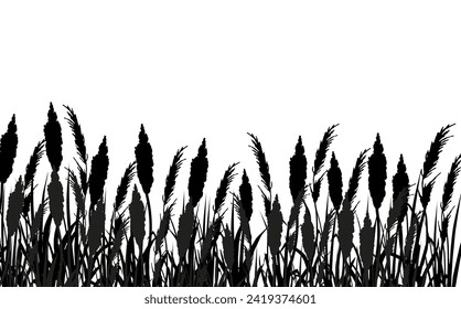 Image of a monochrome reed,grass or bulrush on a white background.Isolated vector drawing.Black grass graphic silhouette.