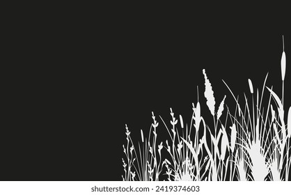 Image of a monochrome reed,grass or bulrush on a white background.Isolated vector drawing.Black grass graphic silhouette.