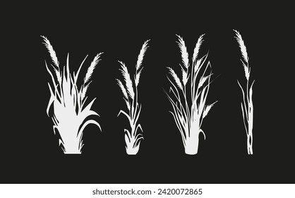 Image of a monochrome reed,grass or bulrush on a white background.Isolated vector drawing.Black grass graphic silhouette.