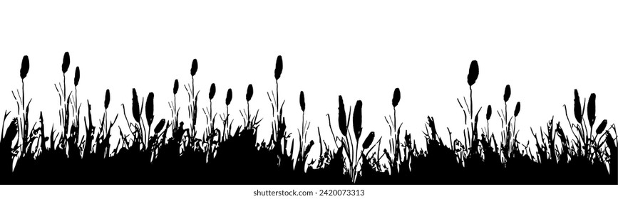 Image of a monochrome reed,grass or bulrush on a white background.Isolated vector drawing.Black grass graphic silhouette.