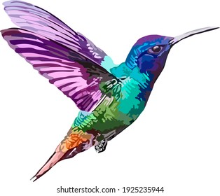 Image of a multi-colored hummingbird. Watercolor little bird. Vector