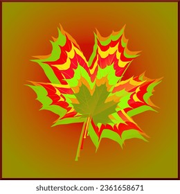 image of a multi-colored maple leaf, vector