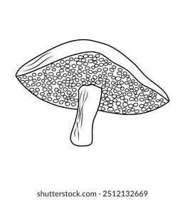  image of a mushroom in a contour for a forest theme in the doodle style. For stickers, greeting card templates in vector.