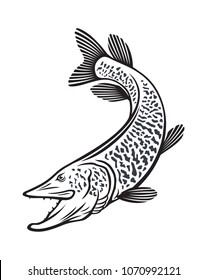 Muskie Coloring Pages Coloring Pages