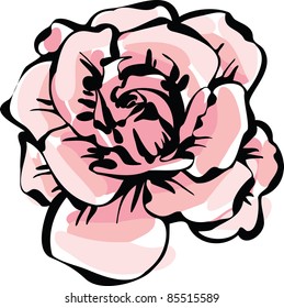 a image of nature delicate rose flower