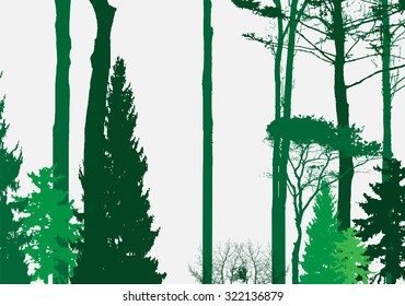 Image of Nature. Tree Silhouette. Eco banner. Vector Illustration. EPS10