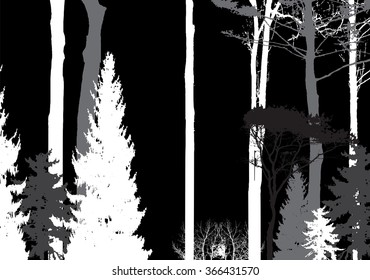 Image of Nature. Tree Silhouette. Eco banner. Vector Illustration. EPS10