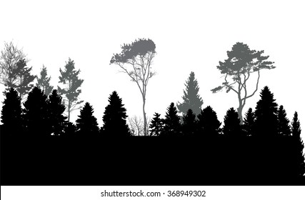 Image of Nature. Tree Silhouette. Eco banner. Vector Illustration. EPS10