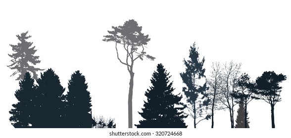 Image of Nature. Tree Silhouette. Vector Illustration. EPS10