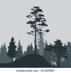 Image of Nature. Tree Silhouette. Vector Illustration. EPS10