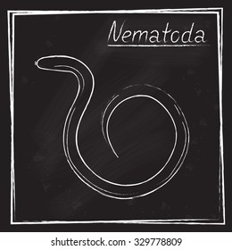 The image of the nematodes in chalk on a blackboard (eps10)
