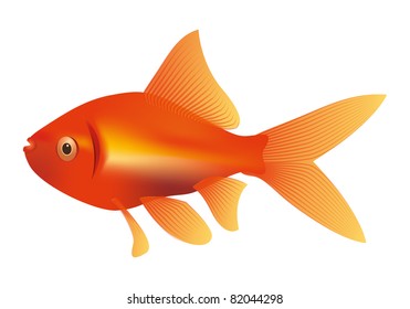 Image Nice Red Yellow Goldfish Stock Vector (Royalty Free) 82044298 ...