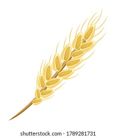 Imagen de la espigón de avena o trigo. Grano maduro. Grano de oro. Comida dietética, harina de avena. Placas enteras, elemento de envasado de alimentos vegetarianos orgánicos. Alimentos útiles durante la lactancia. Imagen vectorial plana en blanco