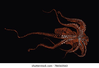 image of octopus oveer black background