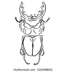 image of an odontolabis beetle which can be used for making logos, picture books, coloring books and children's study books, it is a flat vector illustration