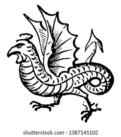 An image of an old big mythical dragon known as Cockatrice, vintage line drawing or engraving illustration.