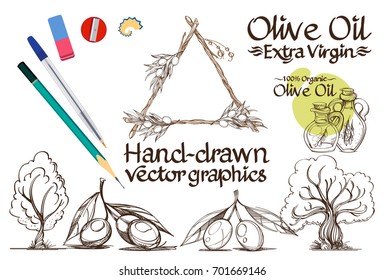 Image of the olive fruit, trees. Background for decoration.