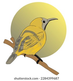 Image of an olive-backed sunbird perched on a branch, has a very beautiful bright yellow color