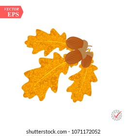 image on white background autumn acorns with green leaf eps