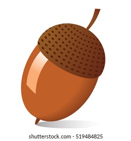 image on white background autumn acorns
