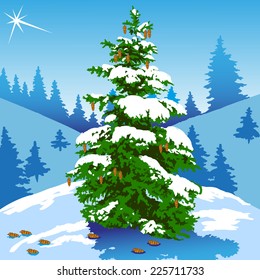 image on the winter landscape of pine trees and the stars in the sky
