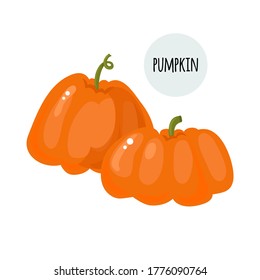 Imagen de una calabaza naranja madura. Cosecha otoñal. Fiesta de Halloween. Aislado sobre un fondo blanco. Ilustración de material vectorial.