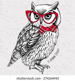 The image of an owl with bow and glasses. Vector illustration.