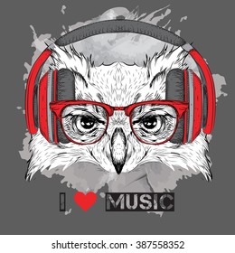  The image of the owl in the glasses and headphones. Vector illustration. 