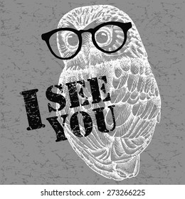 Image owl with glasses on a gray background. Vector illustration.