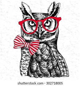 Image of an owl in a glasses and tie. Vector illustration.