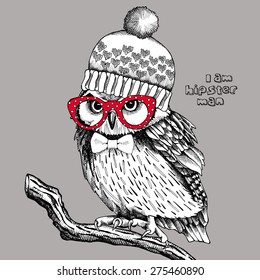 Image of an owl in a knitted hat and red glasses on branch. Vector illustration.