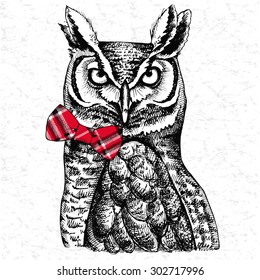 Image of an owl with tie. Vector illustration.