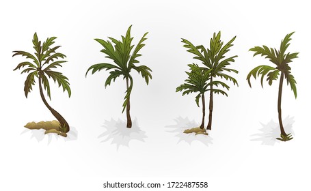 image of palm tree. leaves, trunks and stones. Plants. Theme of the beach and relaxation.