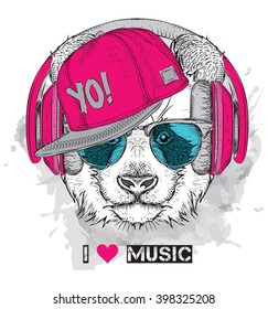 The image of the panda in the glasses, headphones and in hip-hop hat. Vector illustration.