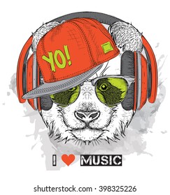 The image of the panda in the glasses, headphones and in hip-hop hat. Vector illustration.