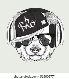 The image of the panda in the glasses, headphones and in hip-hop hat. Vector illustration.